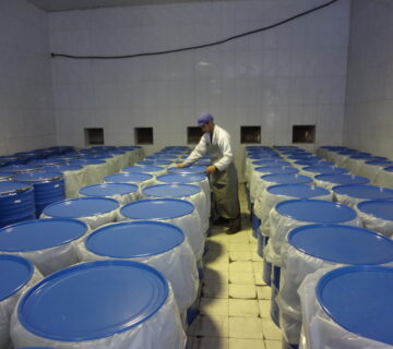 الجودة غير المتناهية في الفازلين