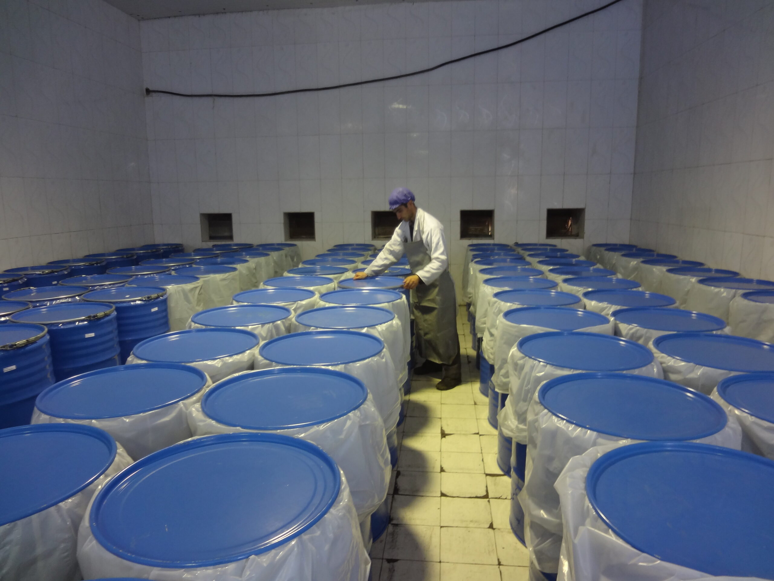 الجودة غير المتناهية في الفازلين