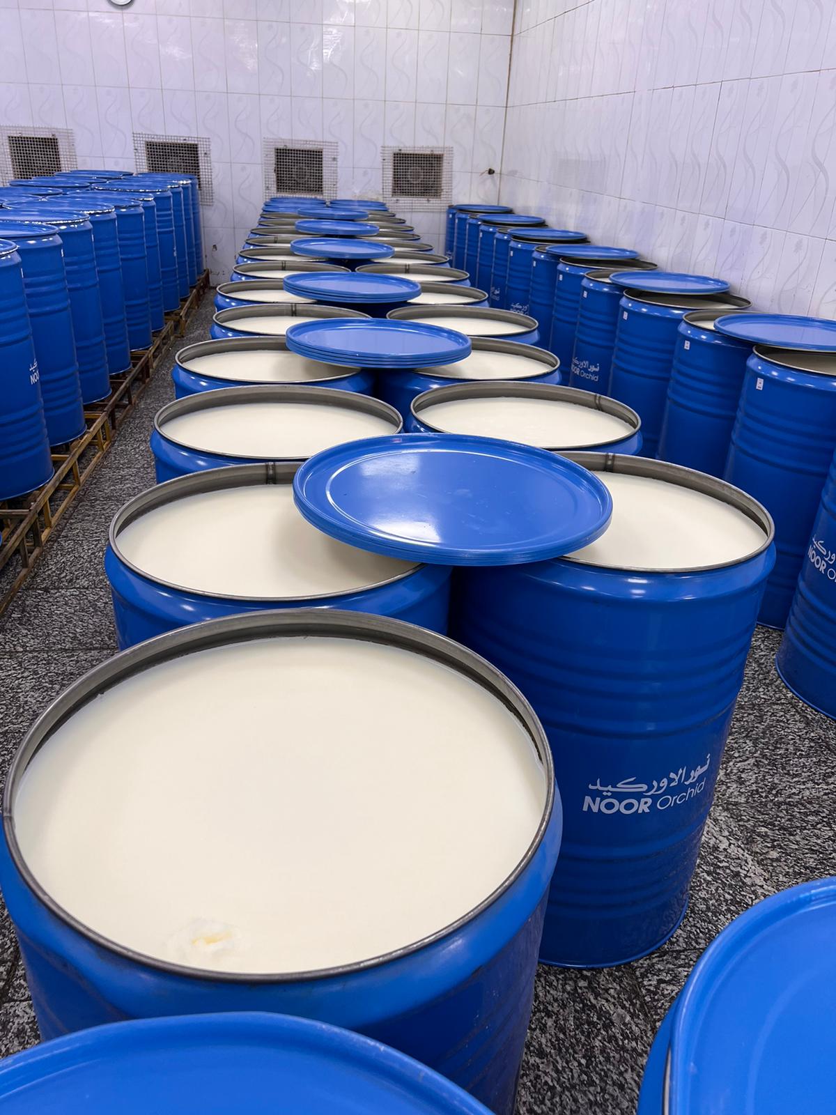 80 استخدامات مُجددة لفاسلين